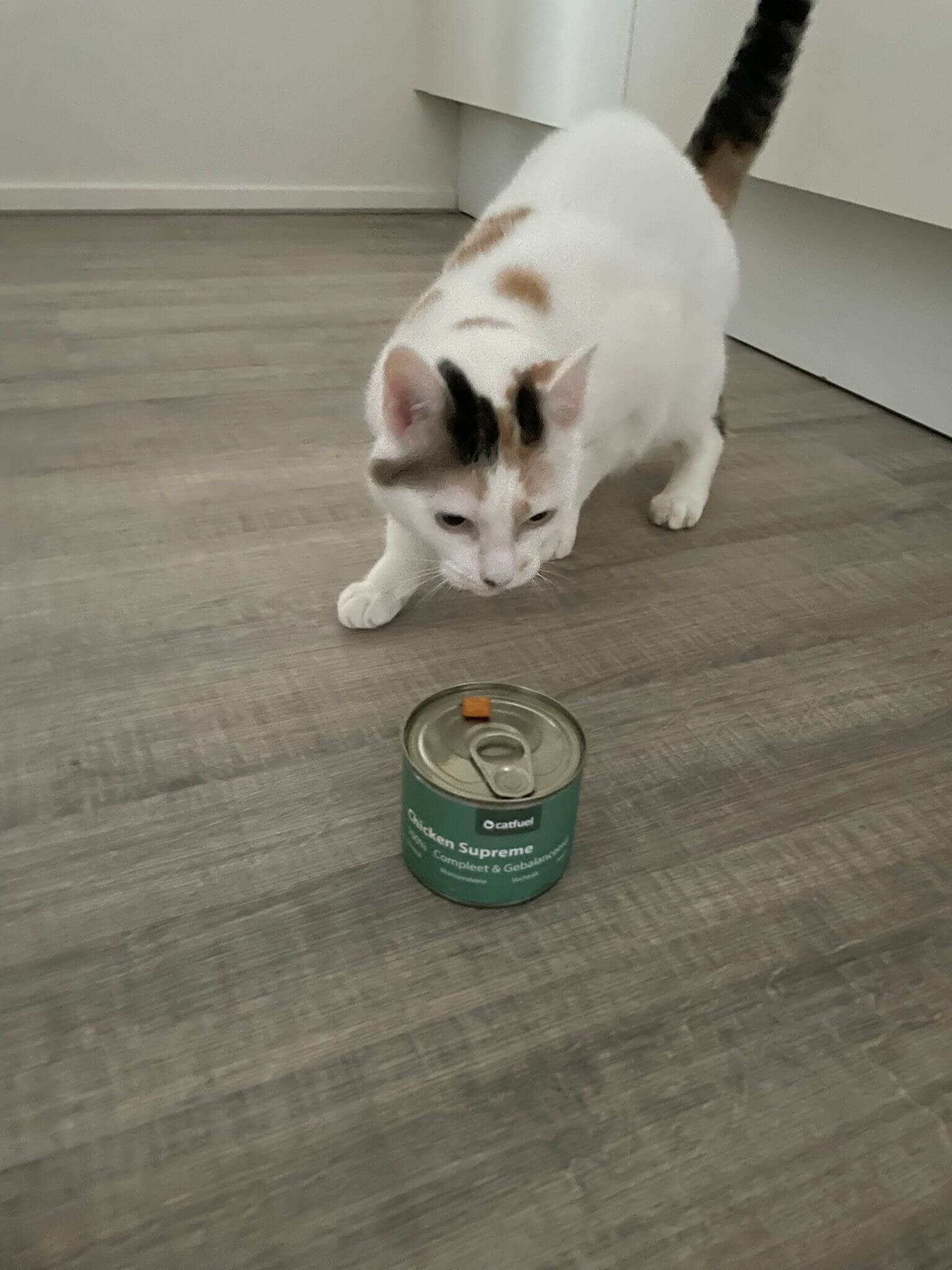 Toulouse en catfuel