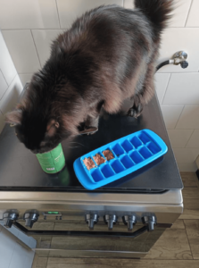 Sarieke beefy greatness